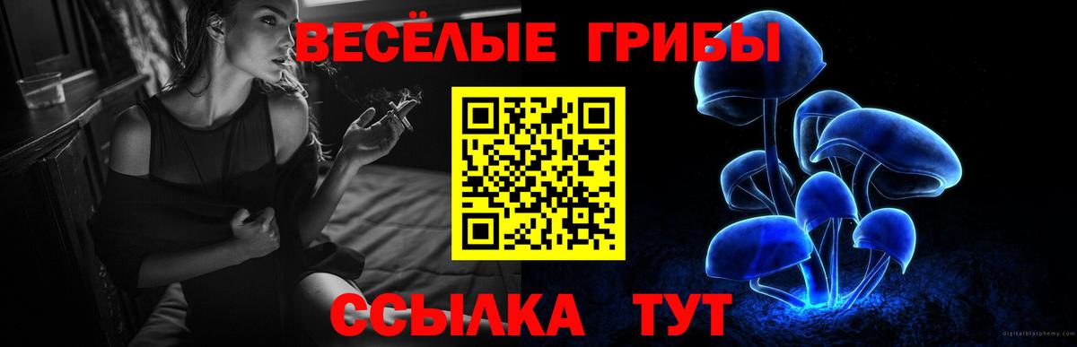 Псилоцибиновые грибы Magic Shrooms  Вход с VPN  Псилоцибиновые грибы мухоморы  Томск 